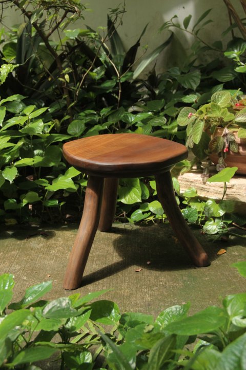 Cội Stool
