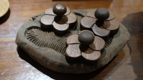 Hoa Mai Wall Hooks